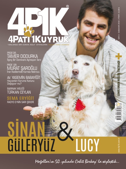 4P1K Sayı 4