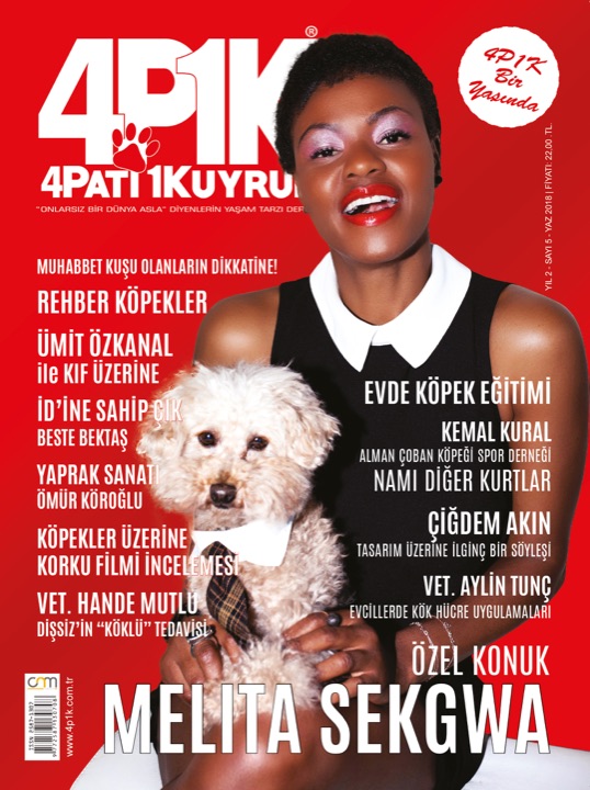 4P1K Sayı 5