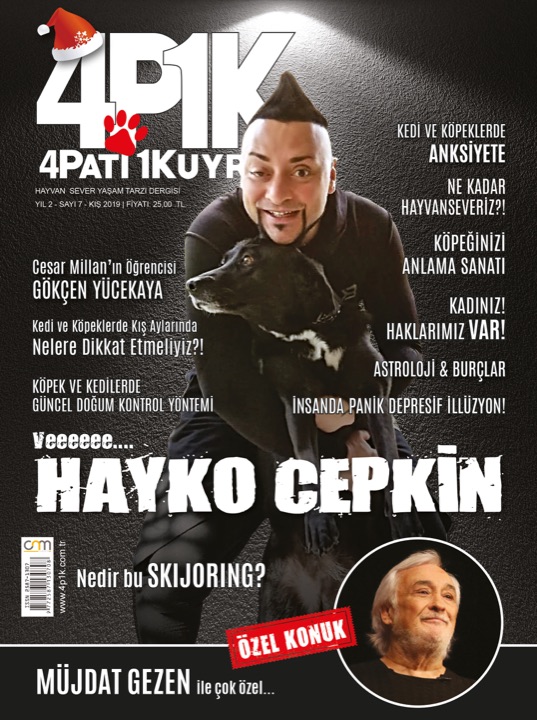 4P1K Sayı 7