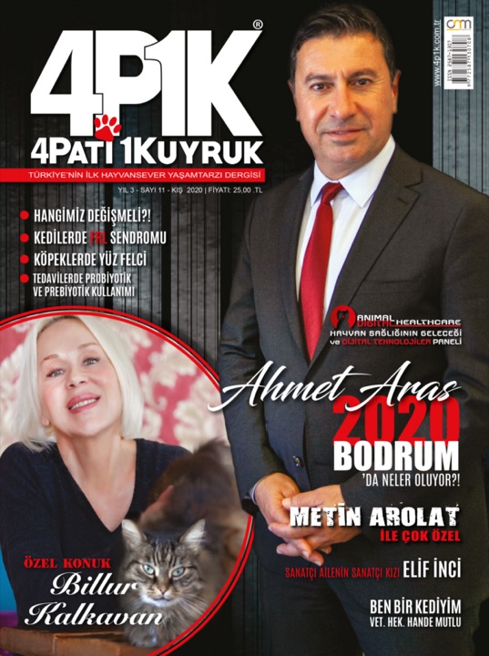 4P1K Sayı 11