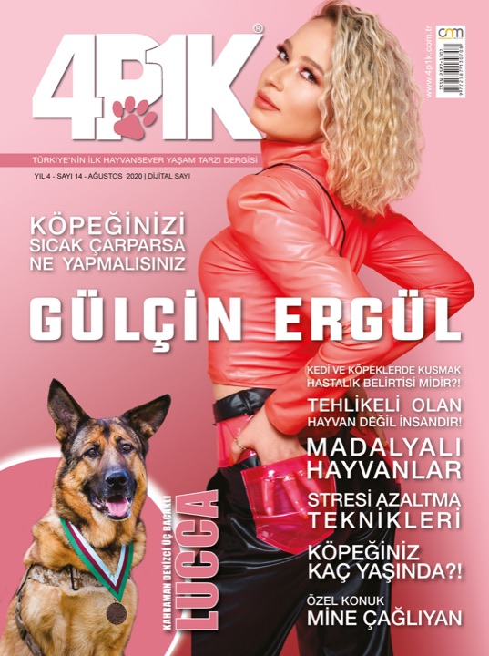 4P1K Sayı 14