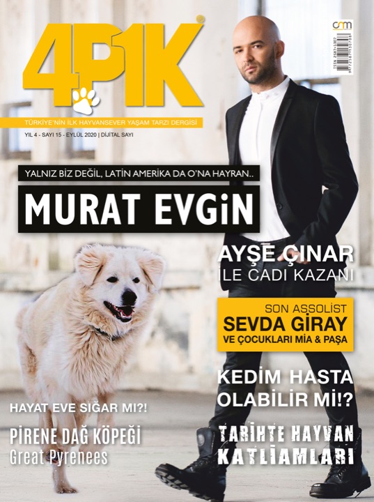 4P1K Sayı 15