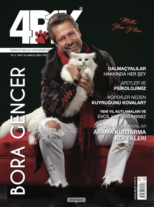 4P1K Sayı 18