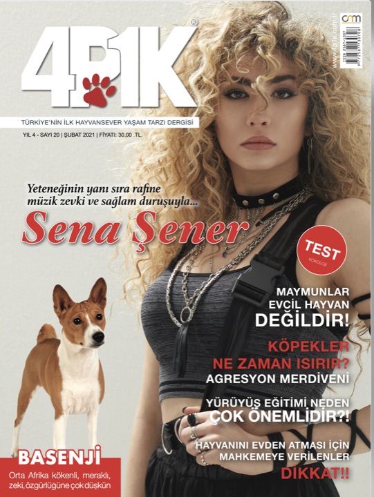 4P1K Sayı 20