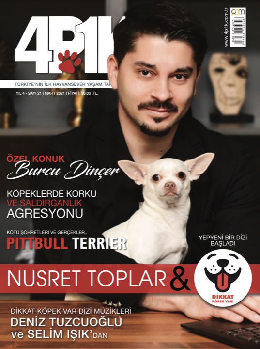 4P1K Sayı 21