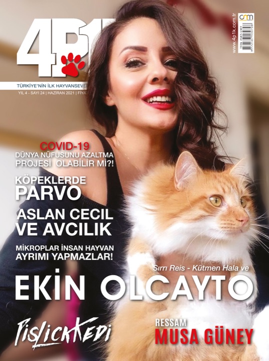4P1K Sayı 24