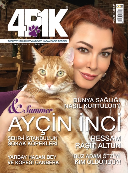 4P1K Sayı 27