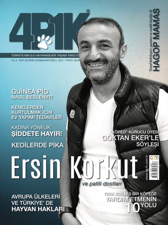 4P1K Sayı 28