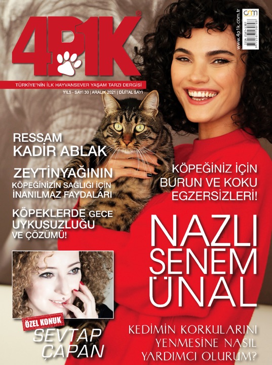 4P1K Sayı 30
