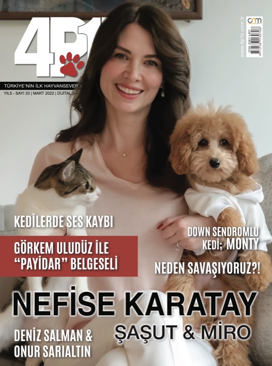 4P1K Sayı 33