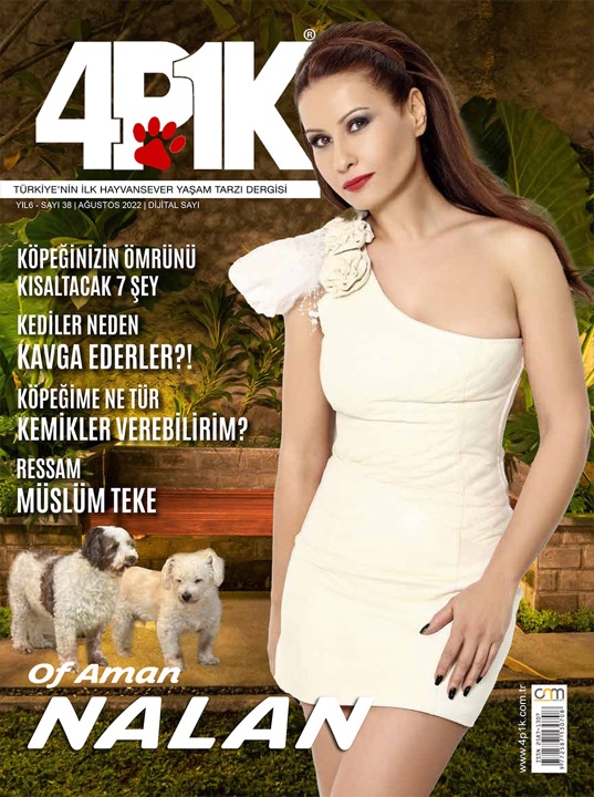 4P1K Sayı 38