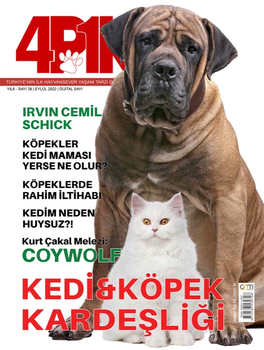 4P1K Sayı 39
