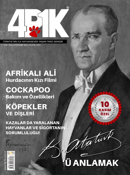 4P1K Sayı 41
