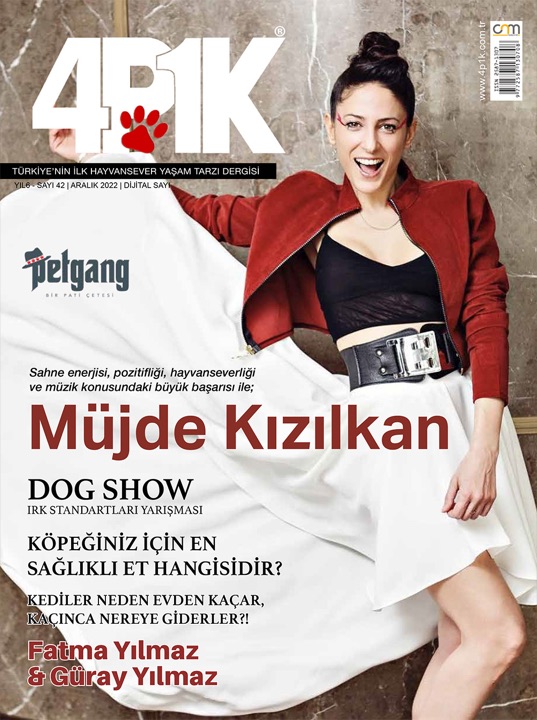 4P1K Sayı 42