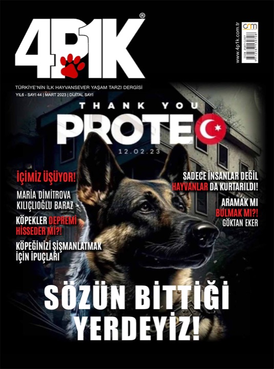 4P1K Sayı 44