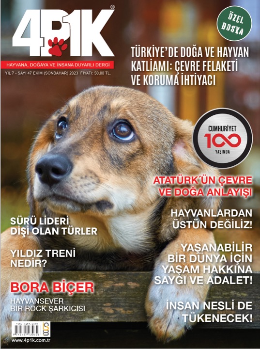 4P1K Sayı 47