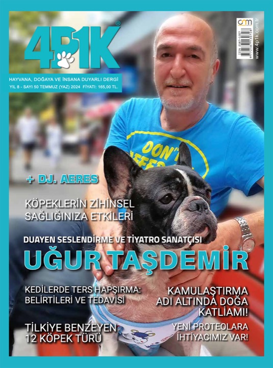 4P1K Sayı 50