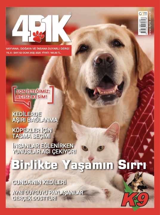 4P1K Sayı 52