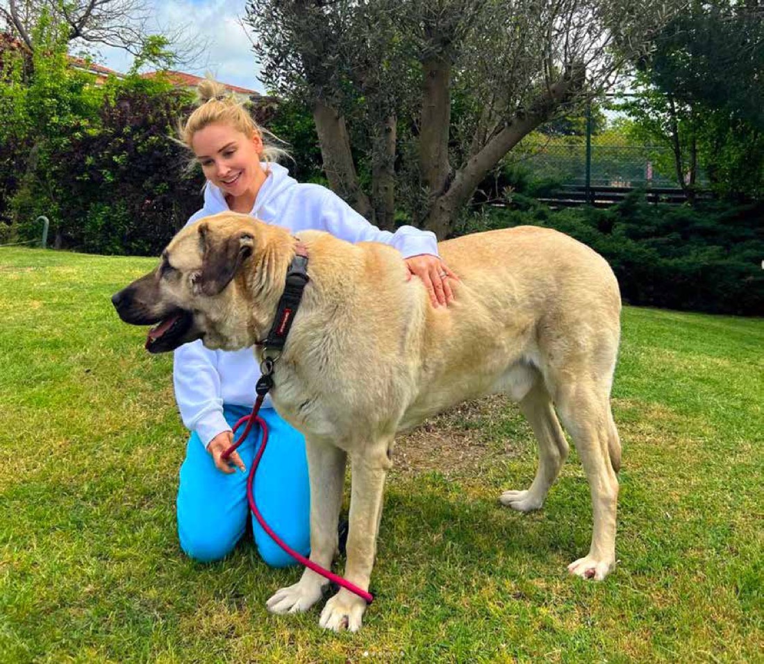 Meltem Acet