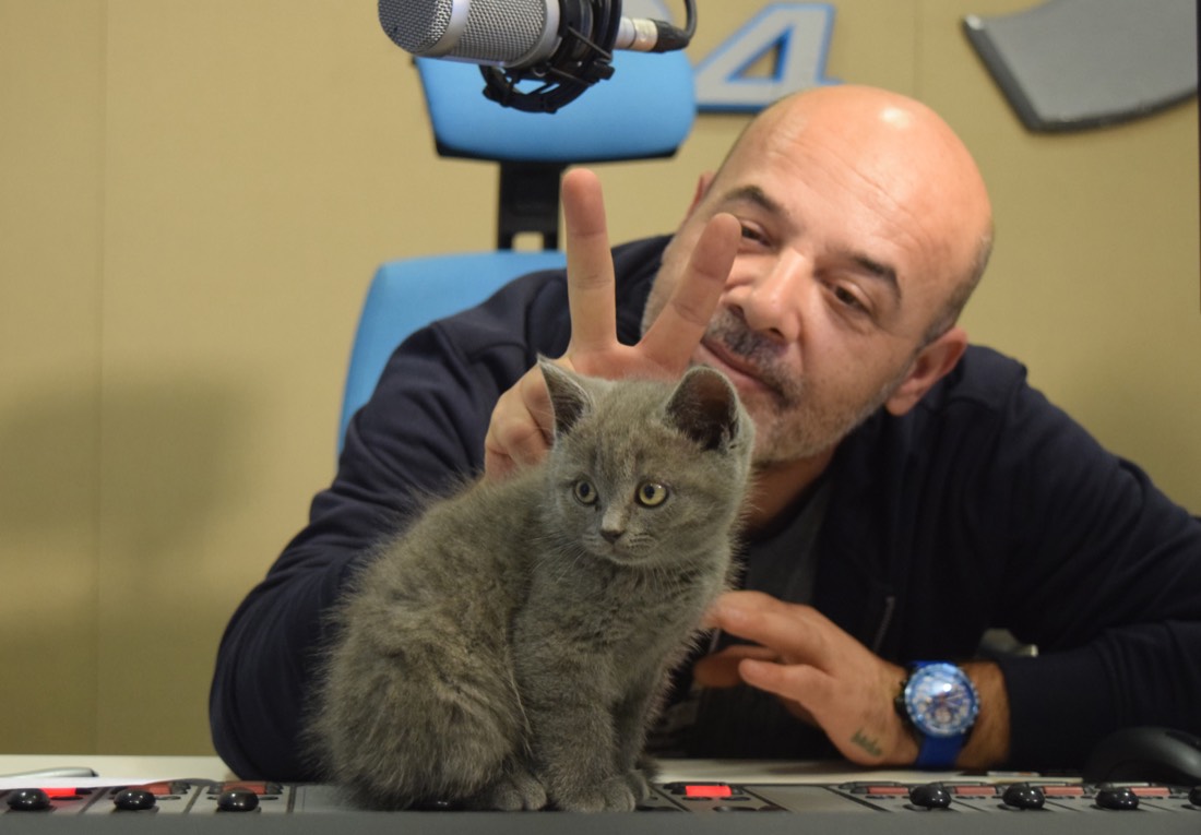 Polat Labar